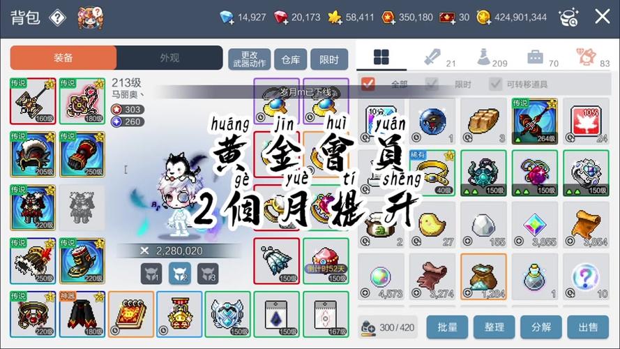  冒险岛私服中的高级装备获取秘籍，快速提升战力！